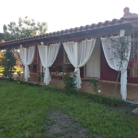 Olive Garden Guest House Kyparissia Exterior foto