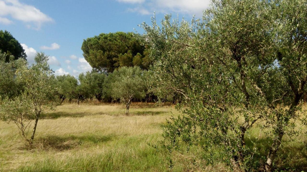 Olive Garden Guest House Kyparissia Exterior foto
