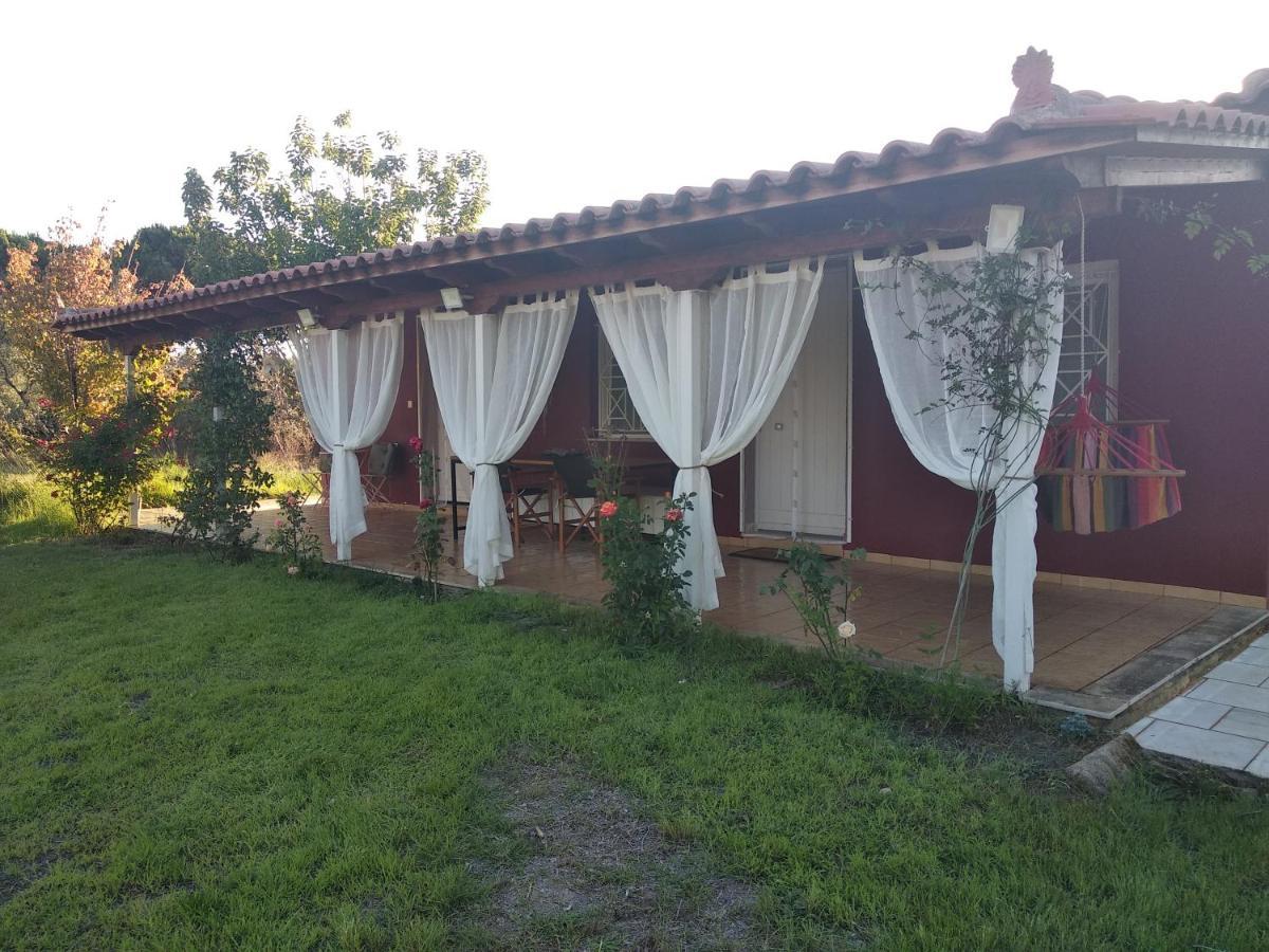 Olive Garden Guest House Kyparissia Exterior foto